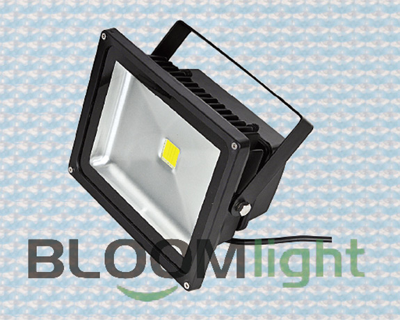 High&nbsp;brightness,&nbsp;good&nbsp;color,&nbsp;soft&nbsp;light,&nbsp;a&nbsp;wide&nbsp;range&nbsp;should&nbsp;be&nbsp;in&nbsp;various&nbsp;places.Choose&nbsp;Bloom&nbsp;Lighting,your&nbsp;best&nbsp;quality&nbsp;Flood&nbsp;Light.