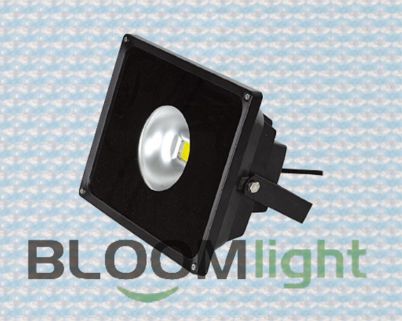 High&nbsp;brightness,&nbsp;good&nbsp;color,&nbsp;soft&nbsp;light,&nbsp;a&nbsp;wide&nbsp;range&nbsp;should&nbsp;be&nbsp;in&nbsp;various&nbsp;places.Choose&nbsp;Bloom&nbsp;Lighting,your&nbsp;best&nbsp;quality&nbsp;Flood&nbsp;Light.