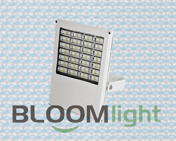High&nbsp;brightness,&nbsp;good&nbsp;color,&nbsp;soft&nbsp;light,&nbsp;a&nbsp;wide&nbsp;range&nbsp;should&nbsp;be&nbsp;in&nbsp;various&nbsp;places.Choose&nbsp;Bloom&nbsp;Lighting,your&nbsp;best&nbsp;quality&nbsp;Flood&nbsp;Light.