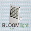 High&nbsp;brightness,&nbsp;good&nbsp;color,&nbsp;soft&nbsp;light,&nbsp;a&nbsp;wide&nbsp;range&nbsp;should&nbsp;be&nbsp;in&nbsp;various&nbsp;places.Choose&nbsp;Bloom&nbsp;Lighting,your&nbsp;best&nbsp;quality&nbsp;Flood&nbsp;Light.