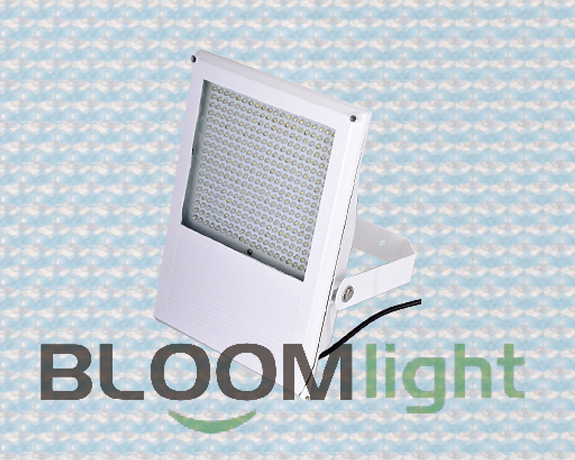 High&nbsp;brightness,&nbsp;good&nbsp;color,&nbsp;soft&nbsp;light,&nbsp;a&nbsp;wide&nbsp;range&nbsp;should&nbsp;be&nbsp;in&nbsp;various&nbsp;places.Choose&nbsp;Bloom&nbsp;Lighting,your&nbsp;best&nbsp;quality&nbsp;Flood&nbsp;Light.