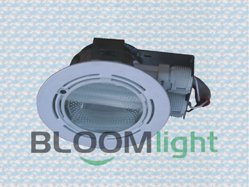 The&nbsp;downlight&nbsp;mainly&nbsp;advantage&nbsp;lies&nbsp;in&nbsp;low&nbsp;carbon&nbsp;energy&nbsp;saving,completely&nbsp;adapt&nbsp;to&nbsp;global&nbsp;energy&nbsp;saving&nbsp;and&nbsp;emission&nbsp;reduction,low&nbsp;carbon&nbsp;lifestyle&nbsp;trend.It��s&nbsp;the&nbsp;ideal&nbsp;choice&nbsp;for&nbsp;modern&nbsp;superhigh&nbsp;light&nbsp;accommodation.The&nbsp;downlight&nbsp;can&nbsp;up&nbsp;to&nbsp;50000H&nbsp;under&nbsp;normal&nbsp;use&nbsp;situation,which&nbsp;is&nbsp;equal&nbsp;to&nbsp;50PCS&nbsp;incandescent&nbsp;lamp&nbsp;life.The&nbsp;downlight&nbsp;mainly&nbsp;is&nbsp;integrated&nbsp;with&nbsp;golden&nbsp;halogen&nbsp;light&nbsp;source.Uniformly&nbsp;use&nbsp;low&nbsp;light&nbsp;decline&nbsp;high&nbsp;power&nbsp;Led&nbsp;as&nbsp;light&nbsp;source,to&nbsp;ensure&nbsp;long&nbsp;life,energy&nbsp;saving,high&nbsp;efficient,environmental&nbsp;protection&nbsp;feature.Defend&nbsp;electric&nbsp;shock&nbsp;grade:&nbsp;II&nbsp;GradePower&nbsp;position:Power&nbsp;set&nbsp;outside&nbsp;of&nbsp;the&nbsp;light,also&nbsp;can&nbsp;made&nbsp;into&nbsp;built-in&nbsp;power,high&nbsp;demand&nbsp;for&nbsp;heat&nbsp;dissipation.Grading&nbsp;light&nbsp;type:Narrow&nbsp;light(15��30��),Wide&nbsp;light��45��60�㣩,choose&nbsp;grading&nbsp;light&nbsp;ways:glaze&nbsp;lens(Strong&nbsp;light),overlapping&nbsp;curve&nbsp;lens(half&nbsp;strong&nbsp;light),pearl&nbsp;lens(Soft&nbsp;Light)Mode&nbsp;of&nbsp;connection:terminal&nbsp;connectionInstallation&nbsp;place:indoorApply&nbsp;place:Suitable&nbsp;for&nbsp;car&nbsp;show&nbsp;room,bullion,top&nbsp;grade&nbsp;dress,professional&nbsp;showcase,counter&nbsp;and&nbsp;accent&nbsp;lighting&nbsp;place.It��s&nbsp;the&nbsp;ideal&nbsp;light&nbsp;source&nbsp;replace&nbsp;traditional&nbsp;halogen&nbsp;tungsten&nbsp;lamp&nbsp;and&nbsp;halogen&nbsp;lamp.