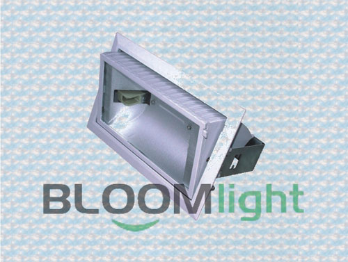 The&nbsp;downlight&nbsp;mainly&nbsp;advantage&nbsp;lies&nbsp;in&nbsp;low&nbsp;carbon&nbsp;energy&nbsp;saving,completely&nbsp;adapt&nbsp;to&nbsp;global&nbsp;energy&nbsp;saving&nbsp;and&nbsp;emission&nbsp;reduction,low&nbsp;carbon&nbsp;lifestyle&nbsp;trend.It��s&nbsp;the&nbsp;ideal&nbsp;choice&nbsp;for&nbsp;modern&nbsp;superhigh&nbsp;light&nbsp;accommodation.The&nbsp;downlight&nbsp;can&nbsp;up&nbsp;to&nbsp;50000H&nbsp;under&nbsp;normal&nbsp;use&nbsp;situation,which&nbsp;is&nbsp;equal&nbsp;to&nbsp;50PCS&nbsp;incandescent&nbsp;lamp&nbsp;life.The&nbsp;downlight&nbsp;mainly&nbsp;is&nbsp;integrated&nbsp;with&nbsp;golden&nbsp;halogen&nbsp;light&nbsp;source.Uniformly&nbsp;use&nbsp;low&nbsp;light&nbsp;decline&nbsp;high&nbsp;power&nbsp;Led&nbsp;as&nbsp;light&nbsp;source,to&nbsp;ensure&nbsp;long&nbsp;life,energy&nbsp;saving,high&nbsp;efficient,environmental&nbsp;protection&nbsp;feature.Defend&nbsp;electric&nbsp;shock&nbsp;grade:&nbsp;II&nbsp;GradePower&nbsp;position:Power&nbsp;set&nbsp;outside&nbsp;of&nbsp;the&nbsp;light,also&nbsp;can&nbsp;made&nbsp;into&nbsp;built-in&nbsp;power,high&nbsp;demand&nbsp;for&nbsp;heat&nbsp;dissipation.Grading&nbsp;light&nbsp;type:Narrow&nbsp;light(15��30��),&nbsp;&nbsp;&nbsp;&nbsp;&nbsp;&nbsp;&nbsp;&nbsp;&nbsp;&nbsp;&nbsp;&nbsp;&nbsp;&nbsp;&nbsp;&nbsp;&nbsp;&nbsp;&nbsp;&nbsp;Wide&nbsp;light��45��60�㣩,choose&nbsp;grading&nbsp;light&nbsp;ways:glaze&nbsp;lens(Strong&nbsp;light),overlapping&nbsp;curve&nbsp;lens(half&nbsp;strong&nbsp;light),pearl&nbsp;lens(Soft&nbsp;Light)Mode&nbsp;of&nbsp;connection:terminal&nbsp;connectionInstallation&nbsp;place:indoorApply&nbsp;place:Suitable&nbsp;for&nbsp;car&nbsp;show&nbsp;room,bullion,top&nbsp;grade&nbsp;dress,professional&nbsp;showcase,counter&nbsp;and&nbsp;accent&nbsp;lighting&nbsp;place.It��s&nbsp;the&nbsp;ideal&nbsp;light&nbsp;source&nbsp;replace&nbsp;traditional&nbsp;halogen&nbsp;tungsten&nbsp;lamp&nbsp;and&nbsp;halogen&nbsp;lamp.