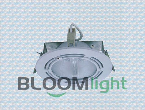 The&nbsp;downlight&nbsp;mainly&nbsp;advantage&nbsp;lies&nbsp;in&nbsp;low&nbsp;carbon&nbsp;energy&nbsp;saving,completely&nbsp;adapt&nbsp;to&nbsp;global&nbsp;energy&nbsp;saving&nbsp;and&nbsp;emission&nbsp;reduction,low&nbsp;carbon&nbsp;lifestyle&nbsp;trend.It��s&nbsp;the&nbsp;ideal&nbsp;choice&nbsp;for&nbsp;modern&nbsp;superhigh&nbsp;light&nbsp;accommodation.The&nbsp;downlight&nbsp;can&nbsp;up&nbsp;to&nbsp;50000H&nbsp;under&nbsp;normal&nbsp;use&nbsp;situation,which&nbsp;is&nbsp;equal&nbsp;to&nbsp;50PCS&nbsp;incandescent&nbsp;lamp&nbsp;life.The&nbsp;downlight&nbsp;mainly&nbsp;is&nbsp;integrated&nbsp;with&nbsp;golden&nbsp;halogen&nbsp;light&nbsp;source.Uniformly&nbsp;use&nbsp;low&nbsp;light&nbsp;decline&nbsp;high&nbsp;power&nbsp;Led&nbsp;as&nbsp;light&nbsp;source,to&nbsp;ensure&nbsp;long&nbsp;life,energy&nbsp;saving,high&nbsp;efficient,environmental&nbsp;protection&nbsp;feature.Defend&nbsp;electric&nbsp;shock&nbsp;grade:&nbsp;II&nbsp;GradePower&nbsp;position:Power&nbsp;set&nbsp;outside&nbsp;of&nbsp;the&nbsp;light,also&nbsp;can&nbsp;made&nbsp;into&nbsp;built-in&nbsp;power,high&nbsp;demand&nbsp;for&nbsp;heat&nbsp;dissipation.Grading&nbsp;light&nbsp;type:Narrow&nbsp;light(15��30��),Wide&nbsp;light��45��60�㣩,choose&nbsp;grading&nbsp;light&nbsp;ways:glaze&nbsp;lens(Strong&nbsp;light),overlapping&nbsp;curve&nbsp;lens(half&nbsp;strong&nbsp;light),pearl&nbsp;lens(Soft&nbsp;Light)Mode&nbsp;of&nbsp;connection:terminal&nbsp;connectionInstallation&nbsp;place:indoorApply&nbsp;place:Suitable&nbsp;for&nbsp;car&nbsp;show&nbsp;room,bullion,top&nbsp;grade&nbsp;dress,professional&nbsp;showcase,counter&nbsp;and&nbsp;accent&nbsp;lighting&nbsp;place.It��s&nbsp;the&nbsp;ideal&nbsp;light&nbsp;source&nbsp;replace&nbsp;traditional&nbsp;halogen&nbsp;tungsten&nbsp;lamp&nbsp;and&nbsp;halogen&nbsp;lamp.