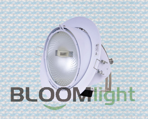 High&nbsp;brightness,&nbsp;good&nbsp;color,&nbsp;soft&nbsp;light,&nbsp;a&nbsp;wide&nbsp;range&nbsp;should&nbsp;be&nbsp;in&nbsp;various&nbsp;places.Choose&nbsp;Bloom&nbsp;Lighting,your&nbsp;best&nbsp;quality&nbsp;Flood&nbsp;Light.