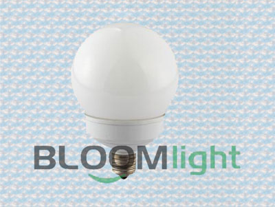 LED 灯泡