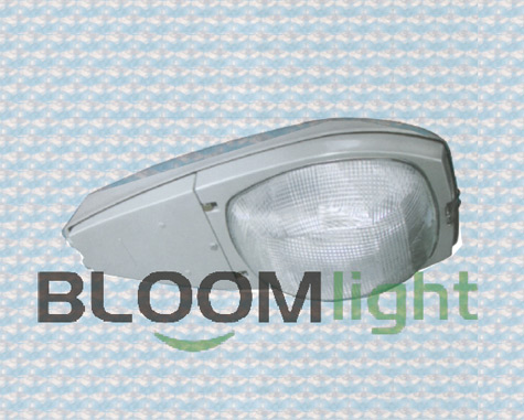 LED Street Lamp