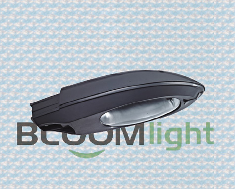 LED 路灯