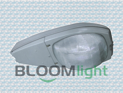LED 路灯