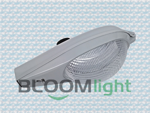 LED 路灯