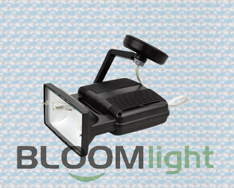 Flood Light