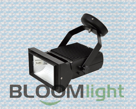 Flood Light