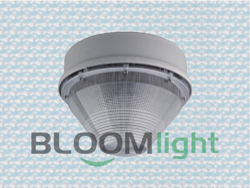 Bulkhead Light