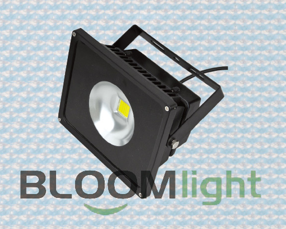 Led Flood Light