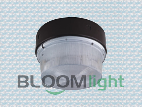 Bulk Head Light