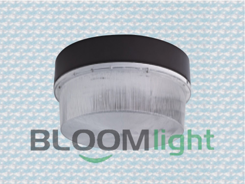 Bulk Head Light
