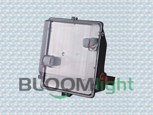 Bulk Head Light