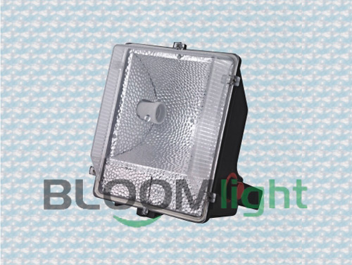 Bulk Head Light
