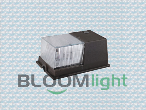 Bulk Head Light