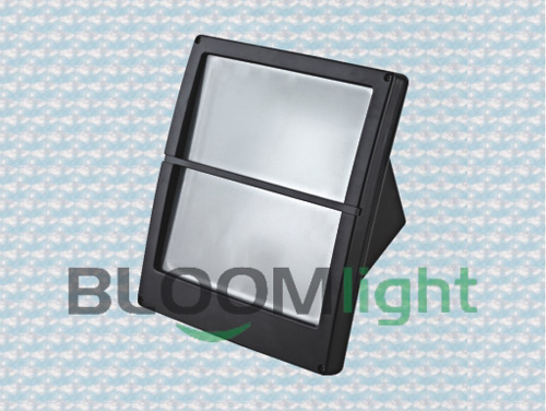 Bulk Head Light