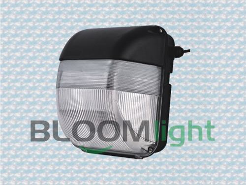 Bulk Head Light