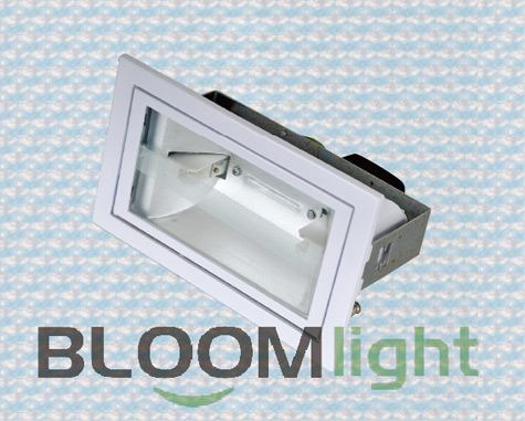 Led Flood Light