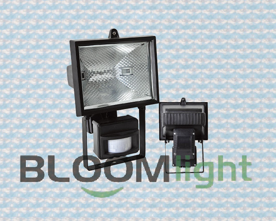 Sensor Light