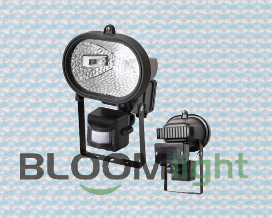Sensor Light