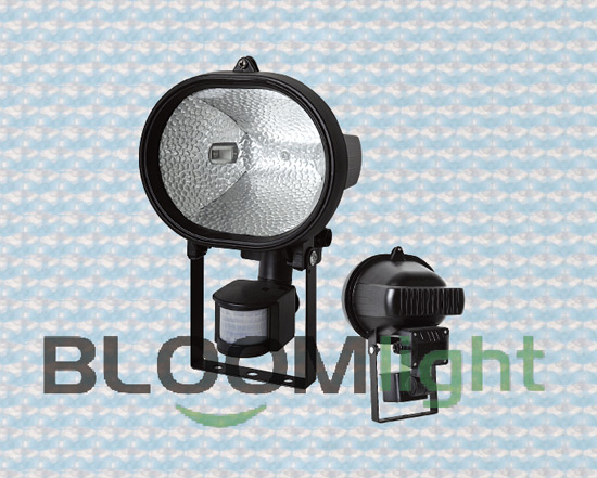 Sensor Light