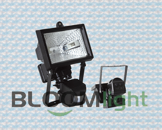 Sensor Light