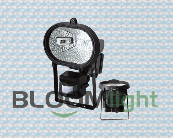 Sensor Light