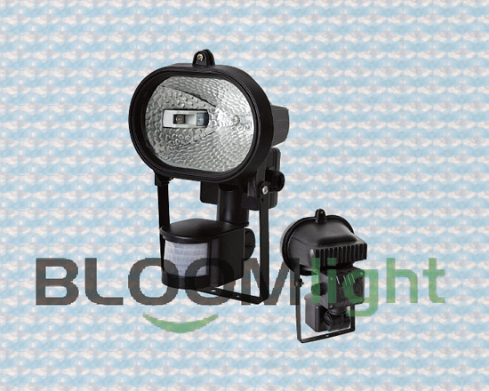 Sensor Light