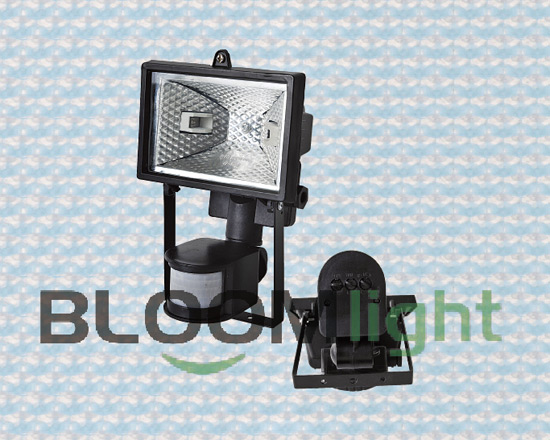 Sensor Light