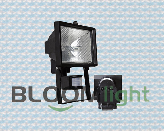 Sensor Light