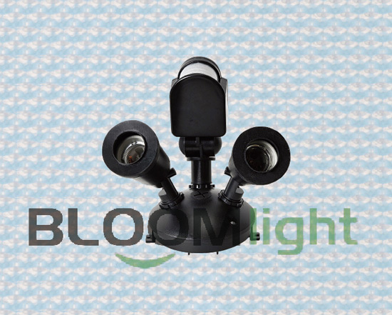 Sensor Light