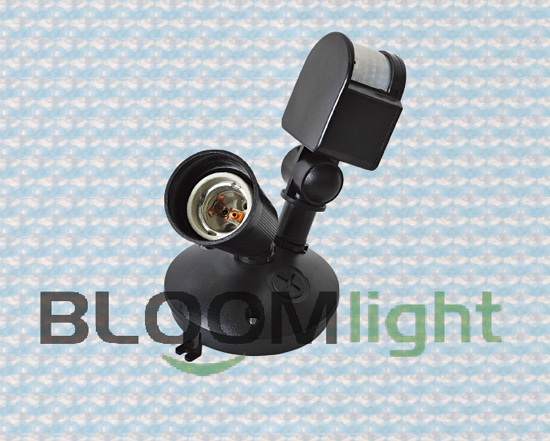 Sensor Light