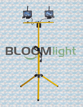Working Light