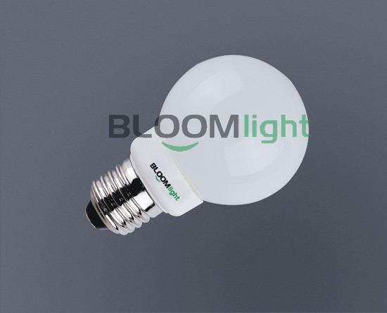 LED 灯泡