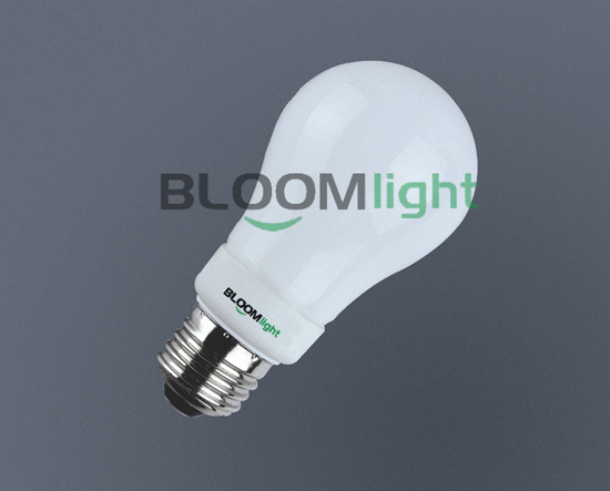 LED 灯泡