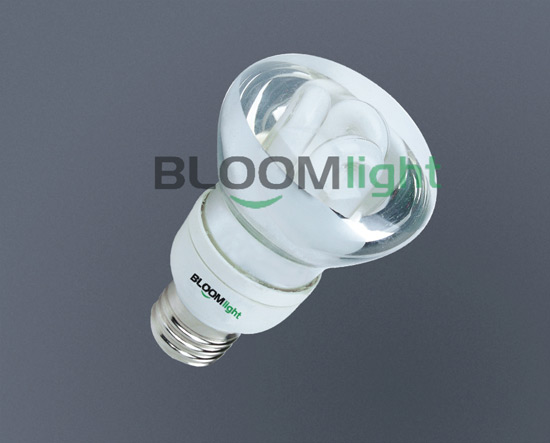 LED 灯泡