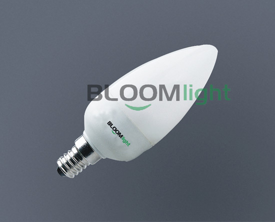 LED 灯泡