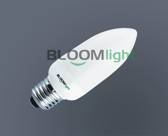 LED 灯泡