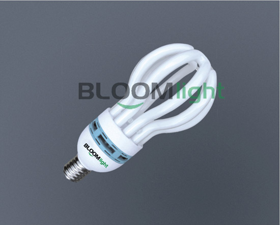 LED 灯泡