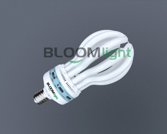 LED 灯泡