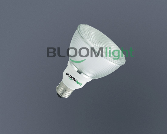 LED 灯泡