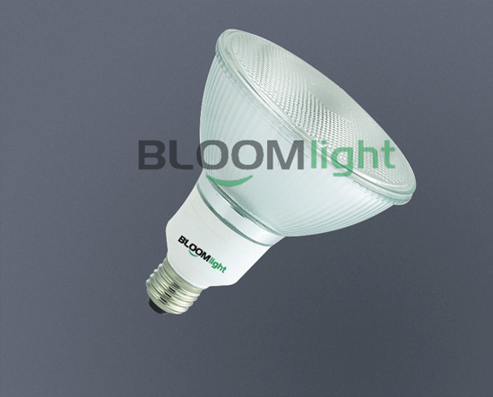 LED 灯泡