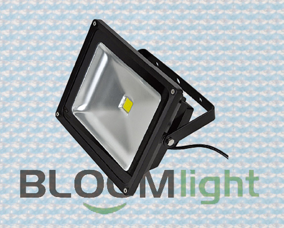 Led Flood Light